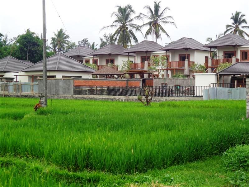 Tanah View Sawah dijual di Ubud  Jual Tanah Sewa Villa 